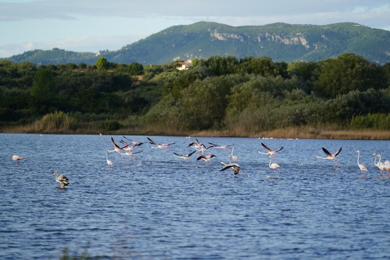 Stefanias Prasoudi Beach Ágios Matthaíos Extérieur photo